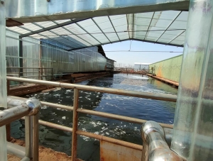 生态环境部公开第二批突出生态环境问题